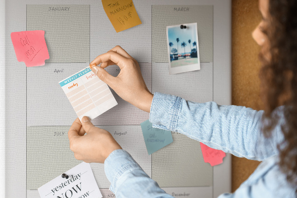 Pin board Annual planner with a minimalist design