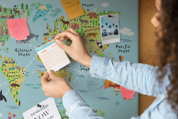 Cork display board World map with animals