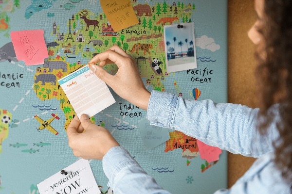 Cork display board World map with animals