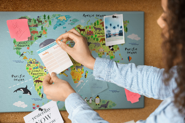 Cork display board World map with animals