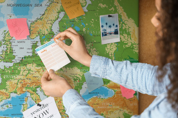 Cork memo board Geography World Map