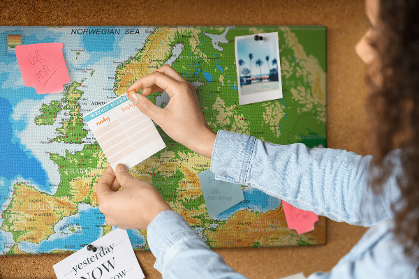 Cork memo board Geography World Map