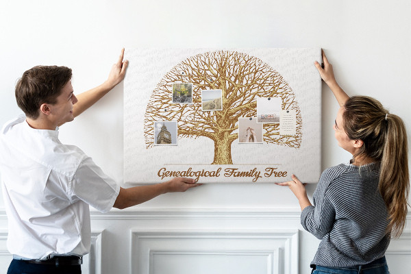 Cork memo board Old family tree