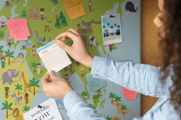 Cork board Cultures world map