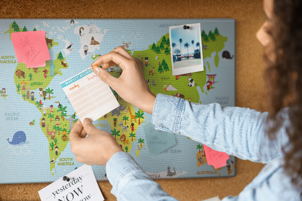 Cork board Cultures world map
