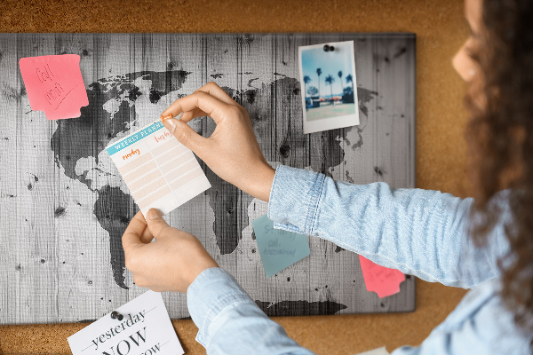 Cork memo board World Map on wood