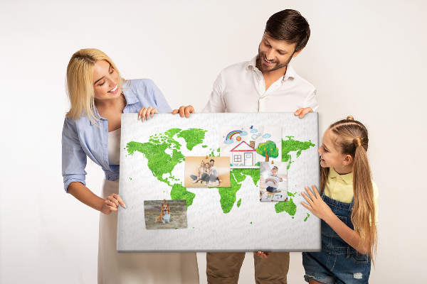 Cork board Green grass map