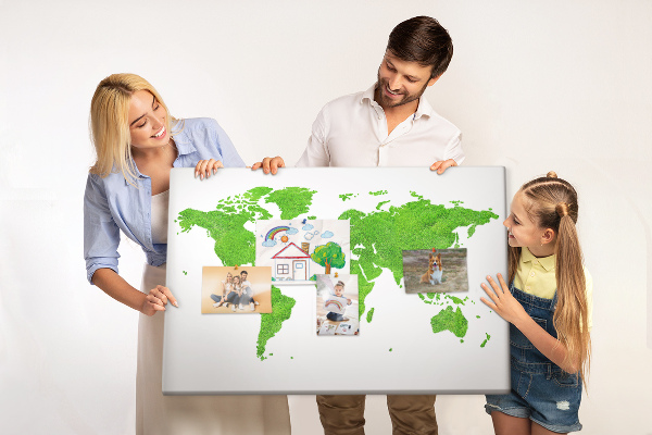 Cork board Green grass map