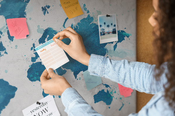 Cork memo board World map