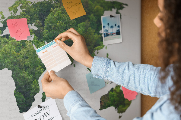 Cork display board Green forest map