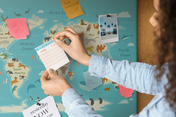 Cork memo board Animal world map