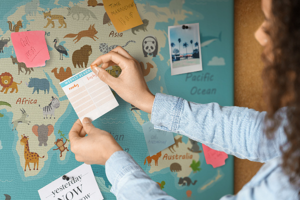 Cork memo board Animal world map