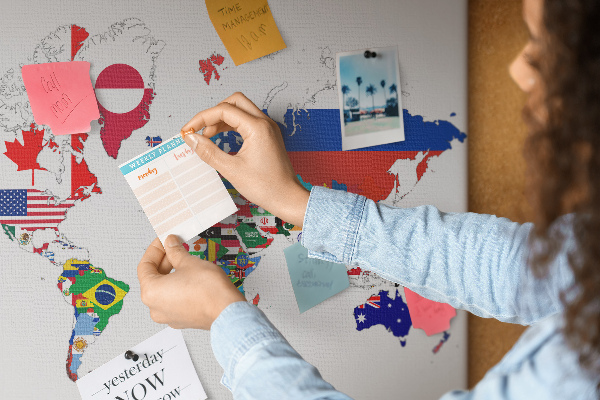 Cork display board National flags map