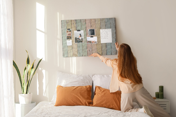 Cork display board Colorful boards