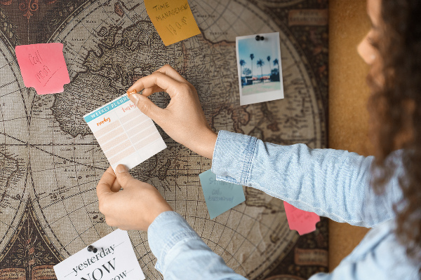 Cork display board Old world map