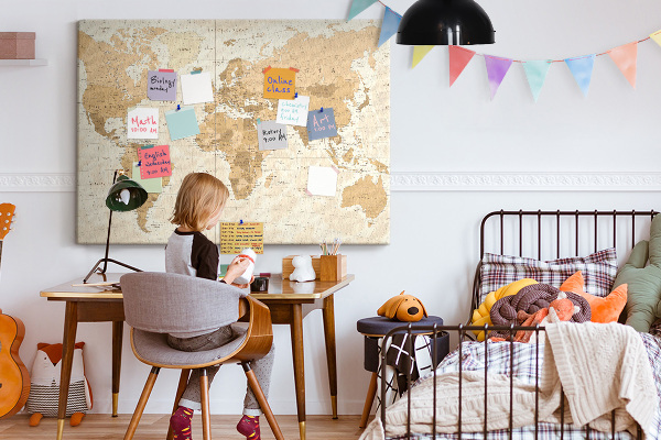 Cork memo board Political World Map