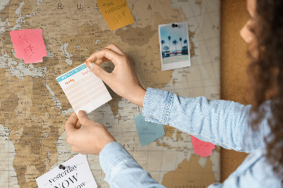 Cork memo board Political World Map