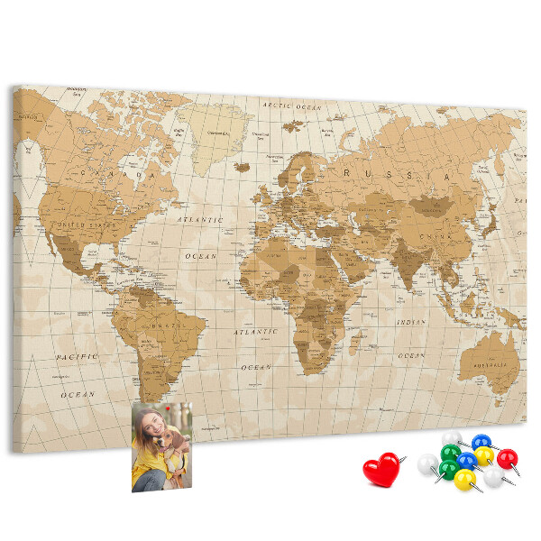 Cork memo board Political World Map