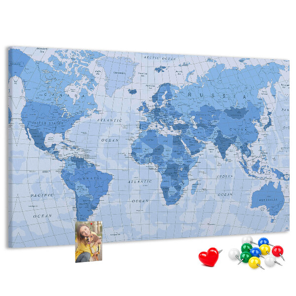 Cork board Political World Map