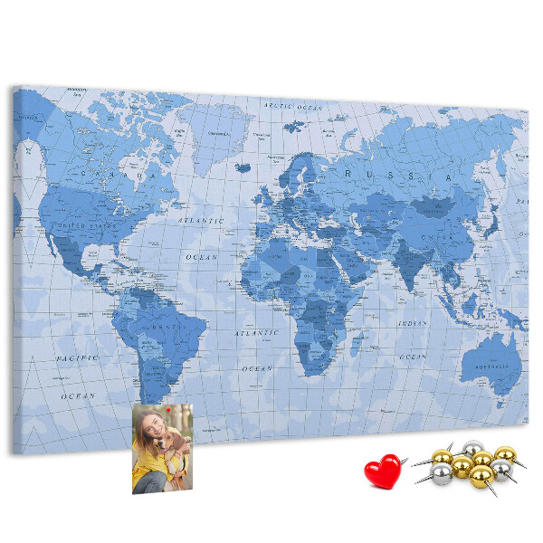 Cork board Political World Map
