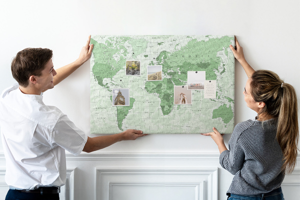 Cork display board Political World Map