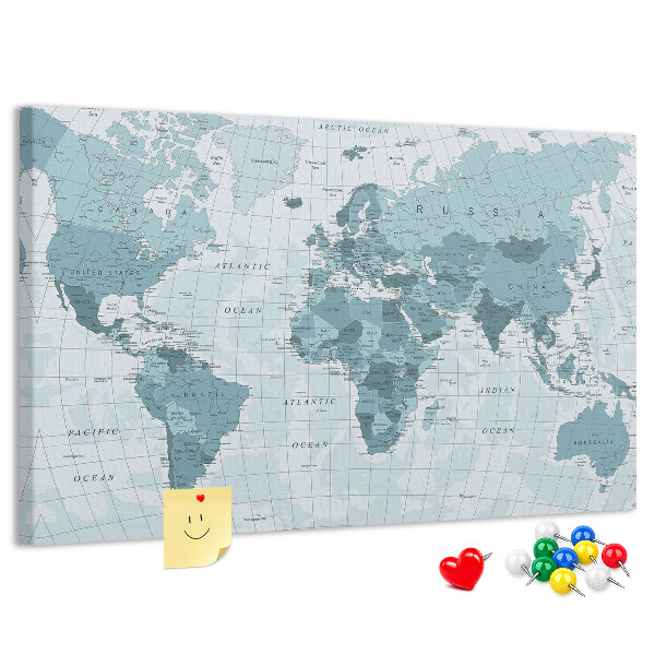 Cork board Political World Map