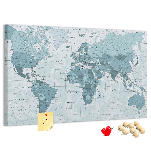 Cork board Political World Map