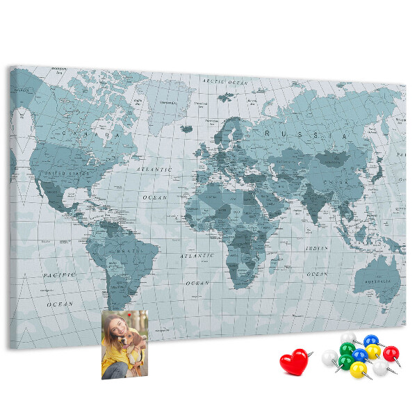 Cork board Political World Map