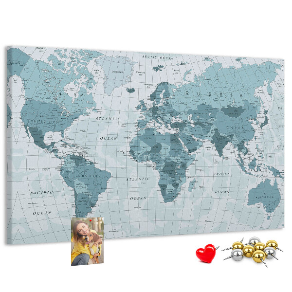 Cork board Political World Map