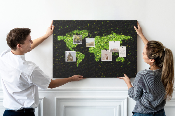 Cork memo board World map