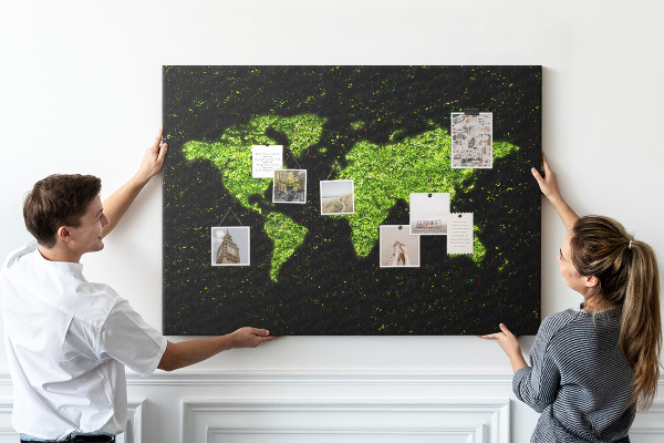 Cork memo board World map