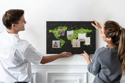 Cork memo board World map