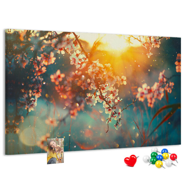 Cork board Spring flowers