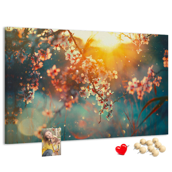 Cork board Spring flowers