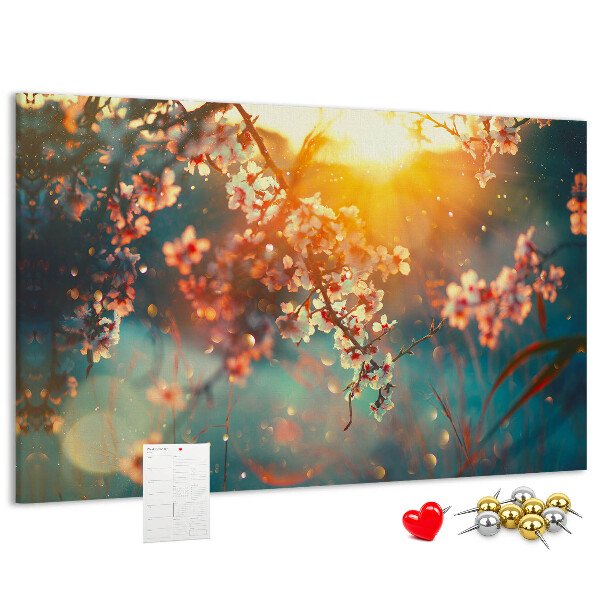 Cork board Spring flowers