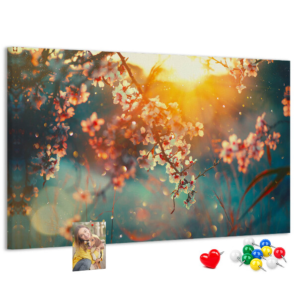 Cork board Spring flowers