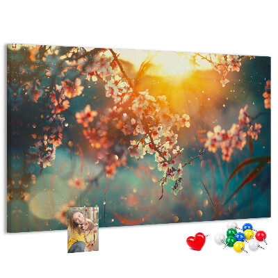 Cork board Spring flowers