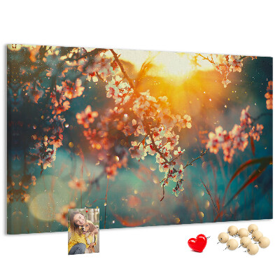 Cork board Spring flowers