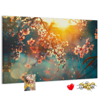 Cork board Spring flowers