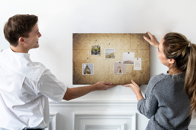 Cork display board Old world map