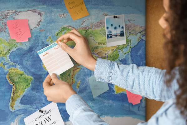 Cork display board World map