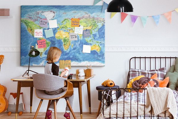 Cork display board World map
