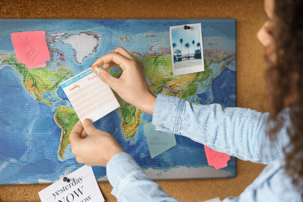 Cork display board World map