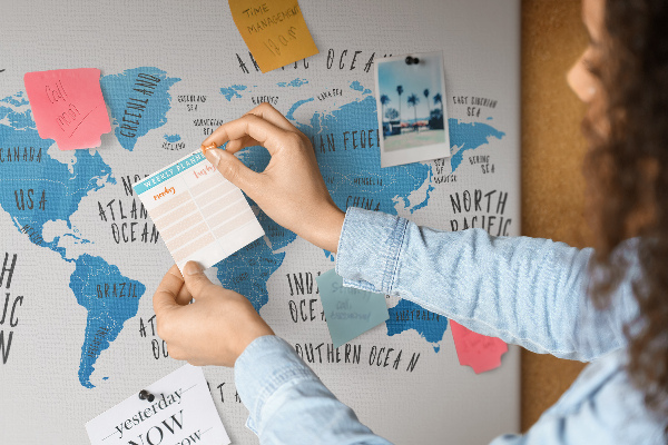 Cork memo board Blue earth map