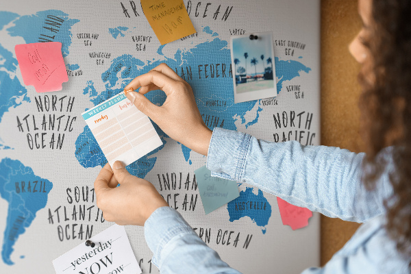 Cork memo board Blue earth map