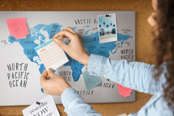Cork memo board Blue earth map