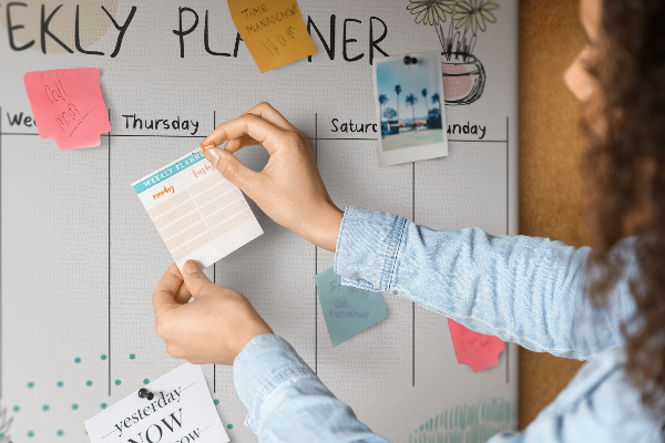Cork display board Cactus weekly planner