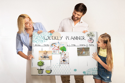 Cork display board Cactus weekly planner