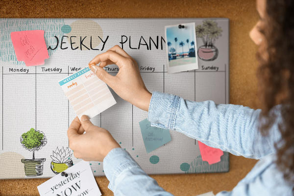Cork display board Cactus weekly planner
