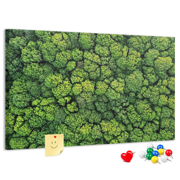 Cork memo board Forest from a bird's eye view
